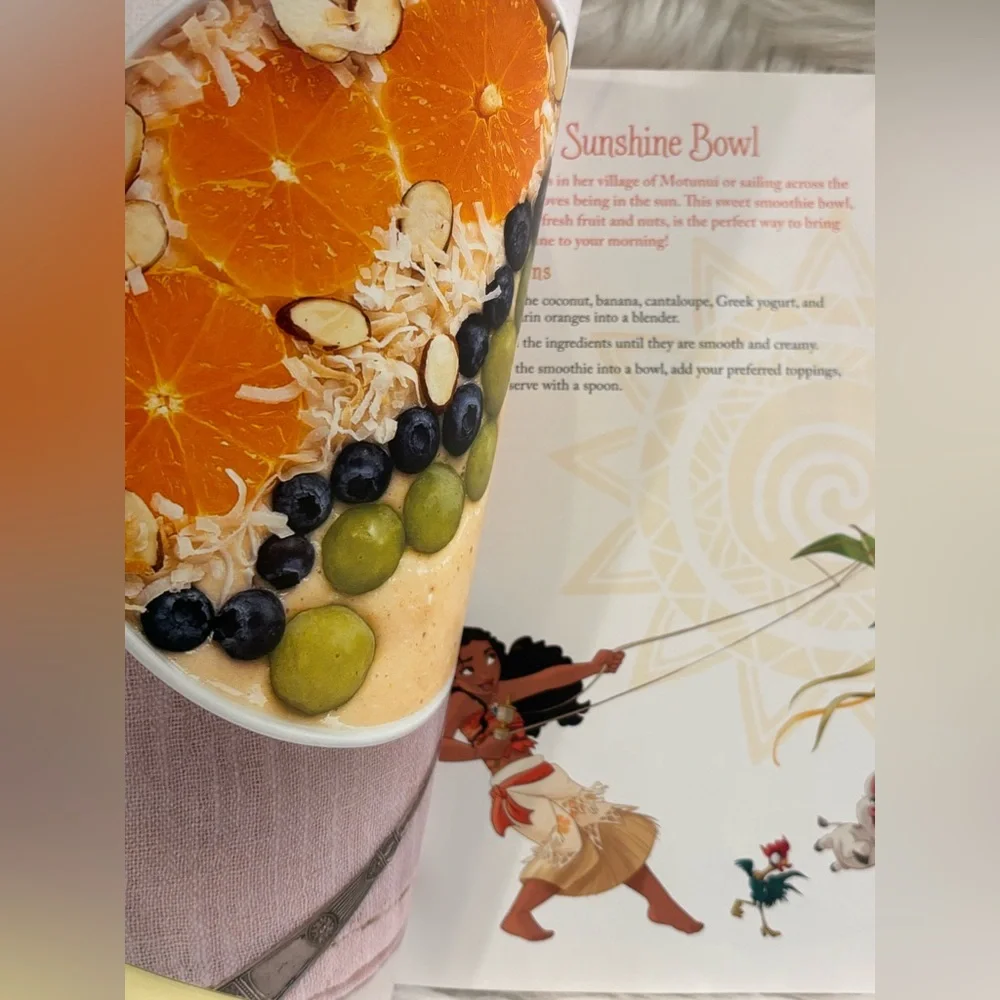 Disney princess cookbook